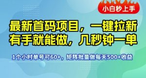最新首码项目,一键拉新有手就能做,几秒钟一单,1个小时单号可60+,矩阵批量做每天5张【揭秘】-16888副业资讯
