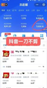 抖音短视频一刀不剪带货，不剪辑，不直播，每天发个视频，等着出单获取带货佣金-16888副业资讯