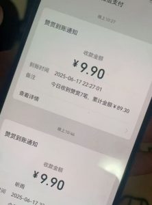 二次元男粉快速变现项目，私域卖虚拟产品，百分利润-16888副业资讯