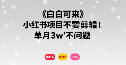 小白可来 小红书项目不需要剪辑 单月3w不是问题-16888副业资讯