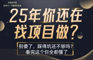 25年,你还在疯狂的找项目吗?别傻了,看完这个你都懂了【揭秘】-16888副业资讯