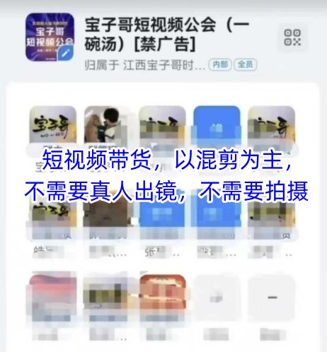 宝子哥头部团队短视频带货，以混剪为主，不需要真人出镜，不需要拍摄【更新8月】-16888副业资讯