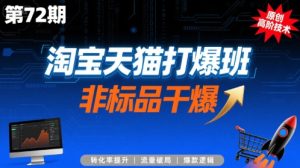 淘宝天猫打爆班原创高阶技术第72期，非标品干爆-16888副业资讯