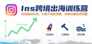 Ins跨境出海训练营，实战驱动玩法，打破不涨粉怪象，玩转社媒自然流量-16888副业资讯