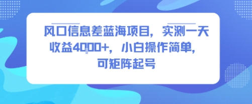 风口信息差蓝海项目，实测一天收益4k+，小白操作简单，可矩阵起号-16888副业资讯