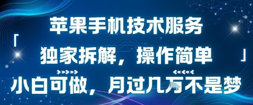 苹果手机技术服务，独家拆解，操作简单，小白可做，月过1W不是梦-16888副业资讯