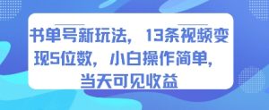 书单号新玩法，13条视频变现5位数，小白操作简单，当天可见收益-16888副业资讯