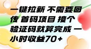 一键拉新 不需要回传 首码项目 接个验证码就算完成 一小时收益70+【揭秘】-16888副业资讯