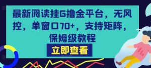 最新阅读挂G撸金平台,无风控,单窗口70+,支持矩阵,保姆级教程【揭秘】-16888副业资讯