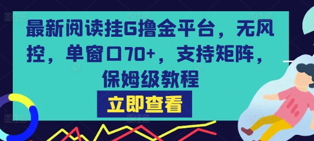 最新阅读挂G撸金平台，无风控，单窗口70+，支持矩阵，保姆级教程【揭秘】-16888副业资讯