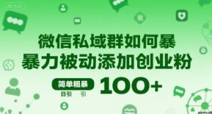 微信私域群如何暴力被动添加创业粉，简单粗暴，日引100+-16888副业资讯