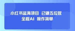 小红书蓝海项目,全程AI,操作简单,已挣五位数-16888副业资讯