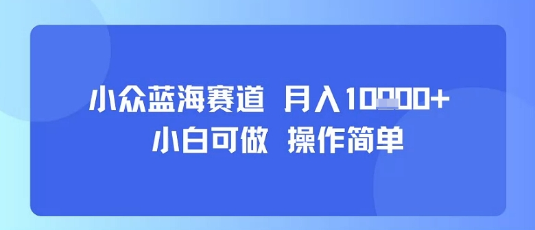 小众蓝海赛道，小白可做，操作简单，每天30分钟，月入1W+-16888副业资讯