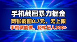手机截图暴力掘金,两张截图0.7米,一部手机就能做,轻松日入3张+【揭秘】-16888副业资讯