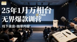 25年1月万相台无界爆款特训营线下录音-16888副业资讯