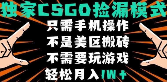 CSGO自动捡漏项目，最新独家玩法，不是美区搬砖，不需要了解和玩游戏，新手小白轻松月入1W+【揭秘】-16888副业资讯