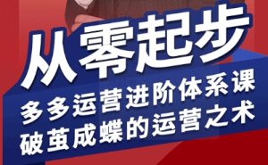 拼多多运营进阶系统课，从零起步，多多运营进阶体系课，破茧成蝶的运营之术-16888副业资讯