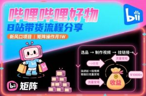 哔哩哔哩好物，B站带货流程分享，新风口项目，矩阵操作月1W-16888副业资讯