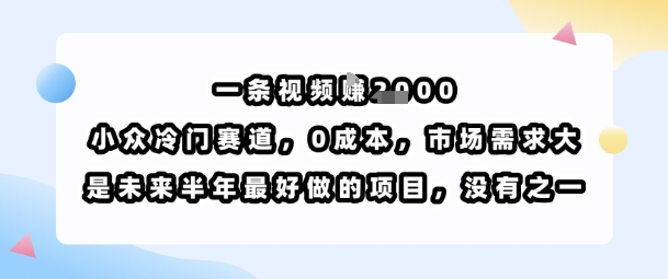 一条视频挣1k，小众冷门赛道，0成本，市场需求大，是未来半年最好做的项目，没有之一-16888副业资讯