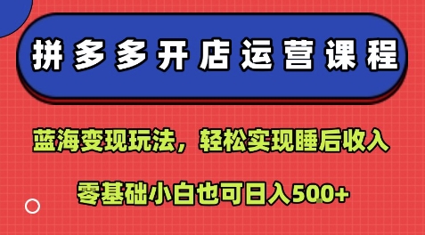 拼多多开店运营课程：蓝海变现玩法，轻松实现睡后收入，零基础小白也可日入5张-16888副业资讯