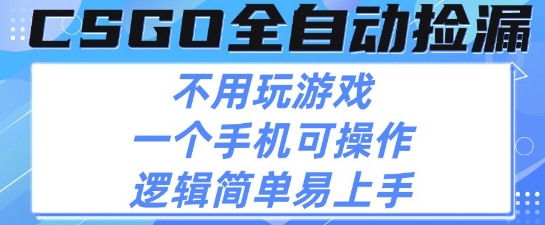 CSGO自动捡漏项目，最新独家玩法，不用挂G不用玩游戏，一个手机即可操作，新手小白轻松月入1W+【揭秘】-16888副业资讯