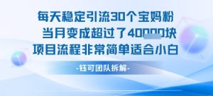 每天稳定引流30个人 当月变成超过了4个W项目流程非常简单适合小白-16888副业资讯