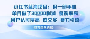 小红书蓝海项目，一部手机单月做了3W利润，小白也能月入过1W用户认可度高成交多-16888副业资讯