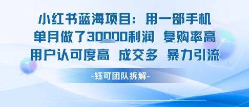 小红书蓝海项目，一部手机单月做了3W利润，小白也能月入过1W用户认可度高成交多-16888副业资讯
