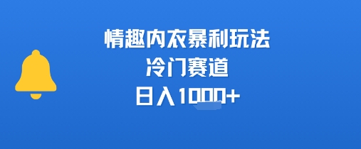 情趣内衣暴利玩法，冷门赛道，日入1k+-16888副业资讯