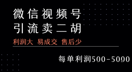 视频号卖二胡教程，利润大 易成交 售后少，一单利润5张+-16888副业资讯