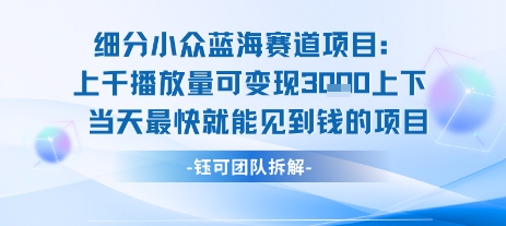 小众蓝海赛道项目：当天变现1k+适合新手操作 +适合长期玩-16888副业资讯