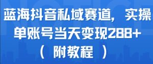 蓝海抖音私域赛道，实操单账号当天变现288+(附教程)-16888副业资讯