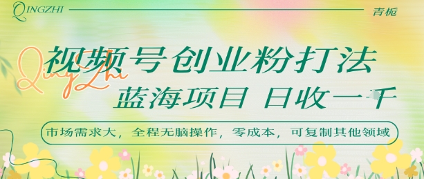 视频号创业粉打法，日入1k，蓝海项目，市场需求大，全程无脑操作，可复制-16888副业资讯