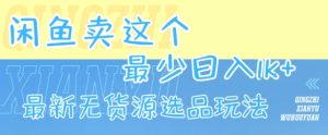 闲鱼卖这个，最少日入1k，最新无货源选品玩法-16888副业资讯