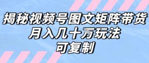 解密视频号图文矩阵带货,月入几个W的打法,可复制-16888副业资讯