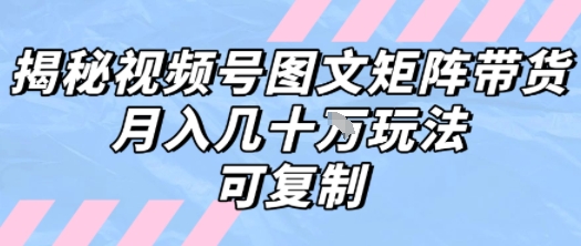 解密视频号图文矩阵带货，月入几个W的打法，可复制-16888副业资讯