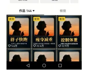 超高变现的短视频减肥细分赛道,减肥账号抖音实战训练营-16888副业资讯