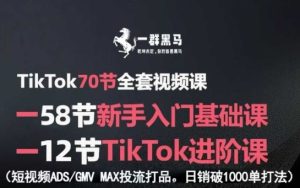 TikTok全套视频课，新手入门+进阶课，短视频ADS-GMV MAX投流打品，日销破1000单打法-16888副业资讯