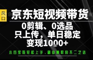你出账号,我来运营,保底日入1k+,开启躺賺模式【揭秘】-16888副业资讯