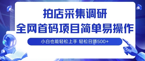 拍店采集调研，全网首码项目，简单易操作， 小白也能轻松上手，多账号操作，轻松日入5张【揭秘】-16888副业资讯