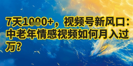 7天收益1k+，视频号新风口：中老年情感视频如何月入过W?-16888副业资讯