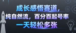 成长感悟赛道，纯自然流，百分百起号率 一天轻松多张-16888副业资讯