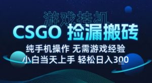 8月最新游戏搬砖,CSGO纯挂G,不需要玩游戏,实现真挂G,月入1W+【揭秘】-16888副业资讯