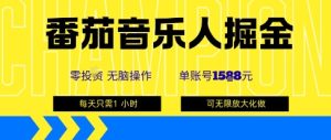 番茄音乐人掘金,单账号最高可撸1k+,可无限矩阵去做,零投入-16888副业资讯