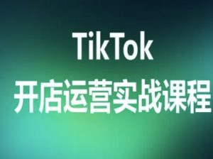TikTok开店运营实战课程,TK跨境电商实操全流程-16888副业资讯