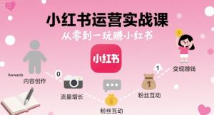 小红书运营实战课,从零到一玩賺小红书-16888副业资讯