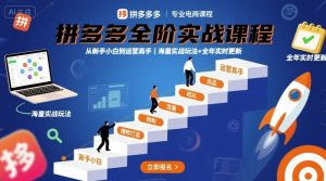 拼多多全阶实战课程,从新手小白到运营高手,海量实战玩法+全年实时更新【2025年9月更新】-16888副业资讯