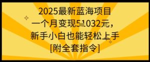 2025最新蓝海项目一个月变现1w+新手小白也能轻松上手【附全套指令】-16888副业资讯