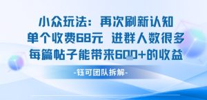 小众玩法再次刷新认知单个收费68米进群人数很多每篇帖子能带来6张的收益-16888副业资讯