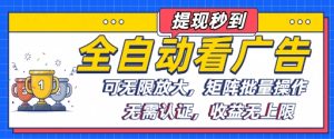 全自动看广告项目,可无限放大,可矩阵批量操作-16888副业资讯